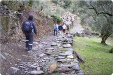 Actividades que permite el entorno